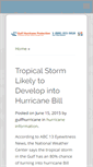 Mobile Screenshot of gulfhurricaneprotection.com